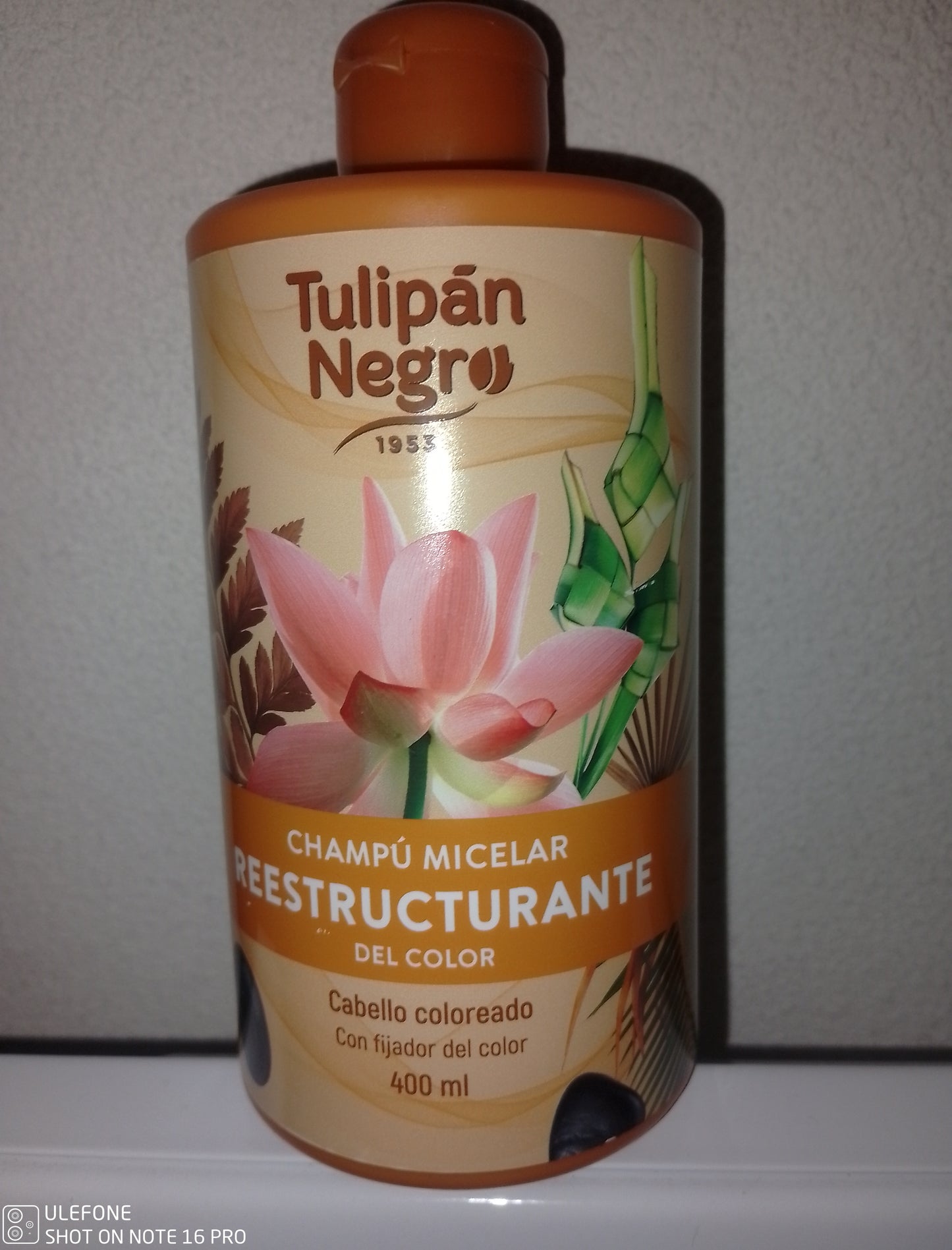 Shampoing restructurant