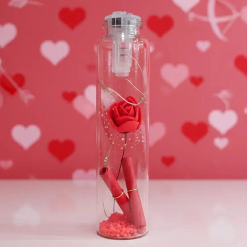 Mini fiole lumineuse avec message et rose éternelle